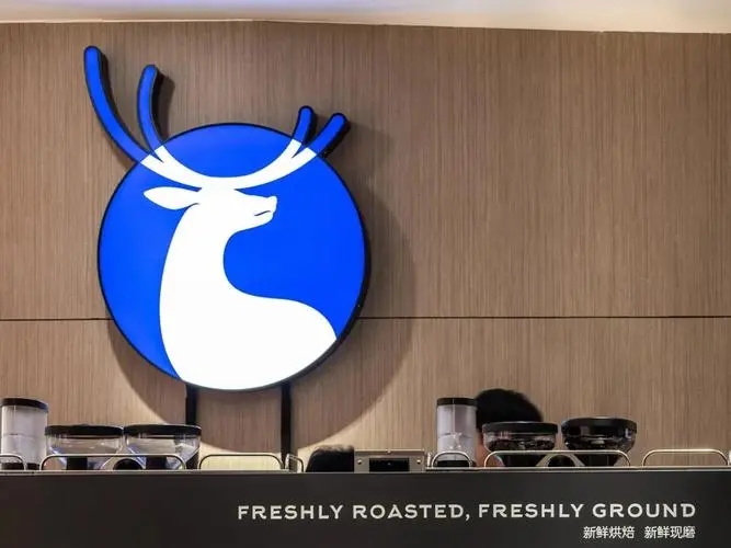 了解瑞幸加盟开店数量规则